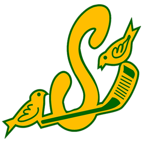 Stayner Siskins
